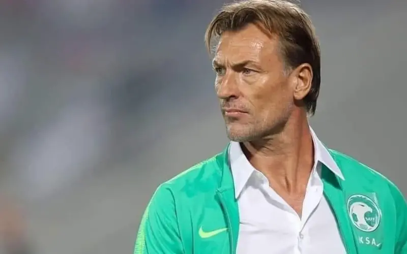 شوبير ينهي الجدل حول المدرب هيرفي رينارد والأهلي